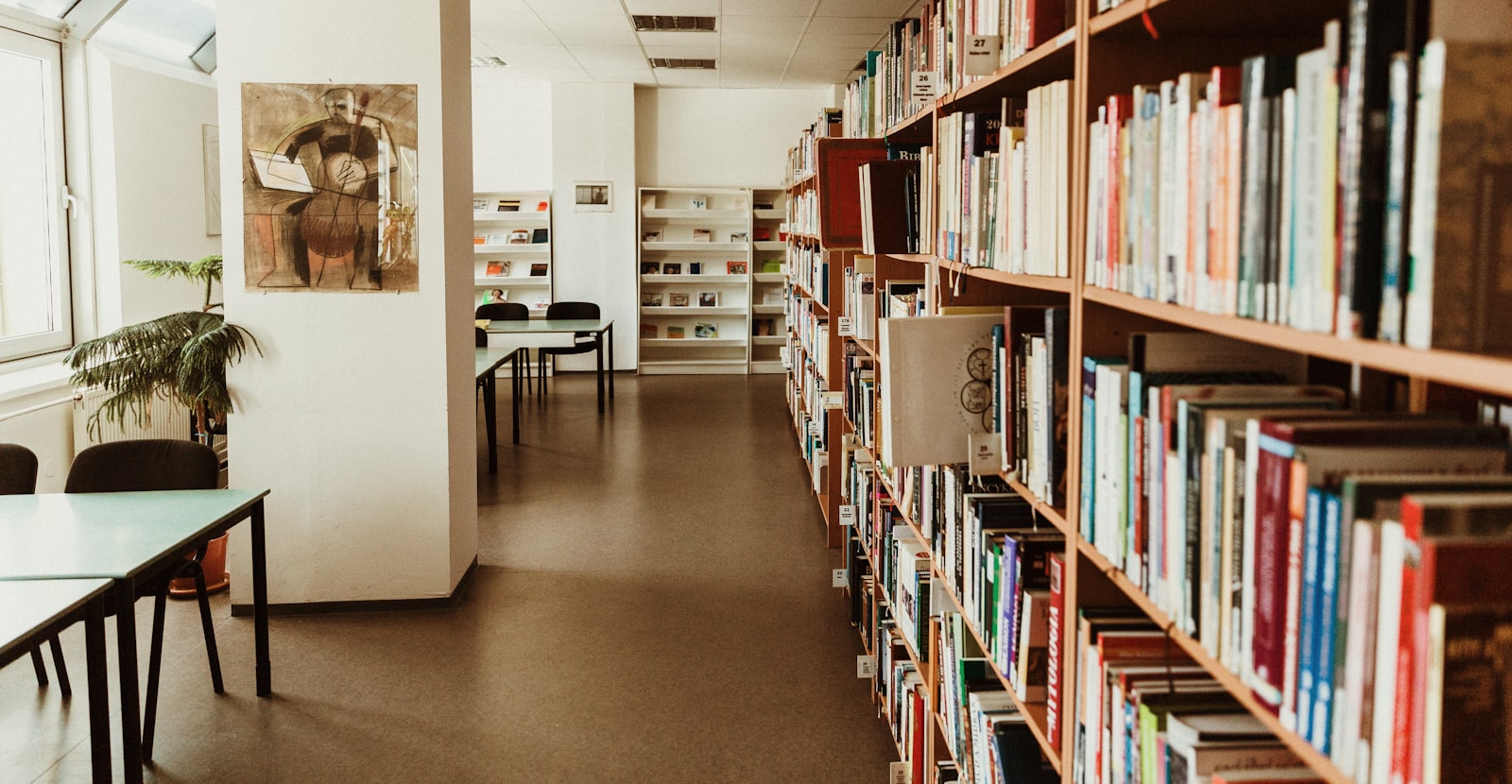 The library of the University of Trnava